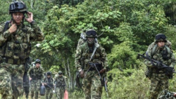 El Ejército continuará a la ofensiva contra las estructuras armadas ilegales que delinquen en esta parte del país.